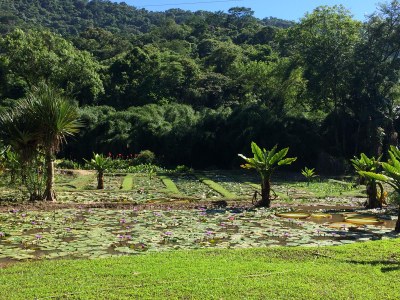 Sítio das Flores