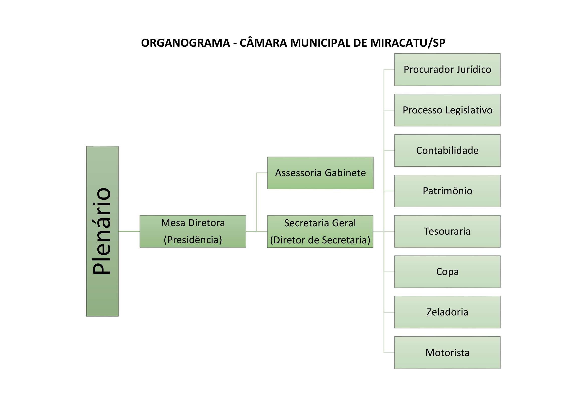 Organograma