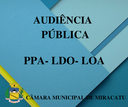 Audiência Pública Audiência Pública