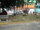 Vereadores solicitam informações sobre limpeza pública Vereadores solicitam informações sobre limpeza pública