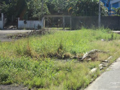 Campo dos Trabalhadores