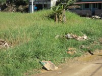 Vereador Junior Baiano (PSB) solicita intervenção da Vigilância Sanitária no Campo dos Trabalhadores